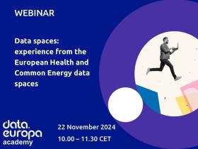 Data spaces: experience from the European Health and Common Energy data spaces